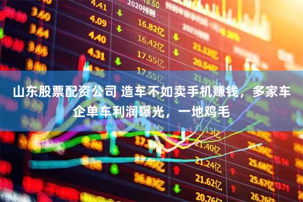 山东股票配资公司 造车不如卖手机赚钱,多家车企单车利润曝光,一地鸡毛